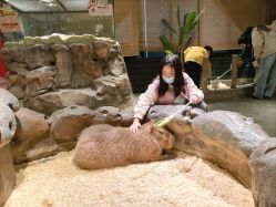 -造物庄园 萌宠纪(苏州湾歌林公园店)