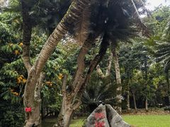 -中国科学院西双版纳热带植物园