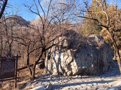 -阳台山自然风景区