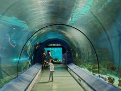 -福州罗源湾海洋世界旅游区