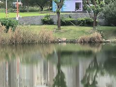 -新江湾城公园