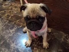 -亚马逊环球美食百汇(新城吾悦广场店)