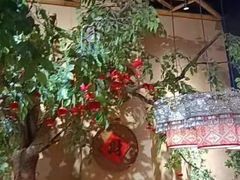 -吃饭皇帝大(合生汇店)