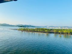 -盐洲岛