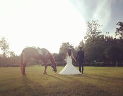 -费拉摄影(天廊T66店)