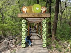 -大岭沟猕猴桃谷风景区