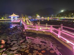 -红山村