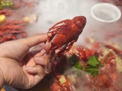 -红胖胖龙虾王·本地菜