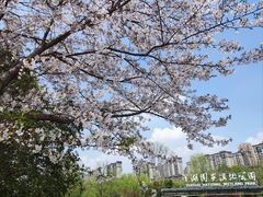 -洋湖国家湿地公园
