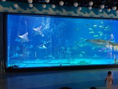 -烟台海昌鲸鲨海洋公园