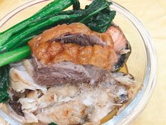-安记烧鹅(新桥店)