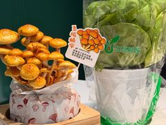 -烹然四季椰子鸡火锅(姚家园万象汇店)