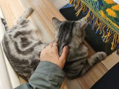 -平行世界·猫咖(首经贸店)