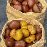 南京超好吃的板栗｜来自秋天的仪式感