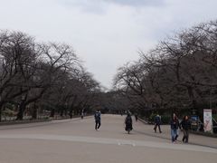 -上野公园花园稻荷神社(忍岡稲荷神社)