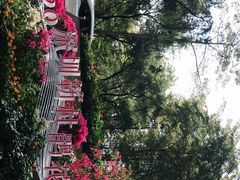 -莲花山公园