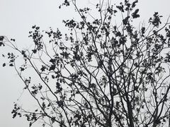 -成都泰迪熊博物馆