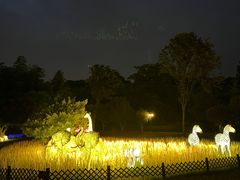 -杭州野生动物世界