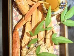 -佬肥猫(国华广场店)