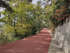 -敬亭山风景名胜区