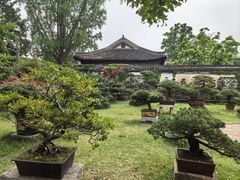 -水绘园