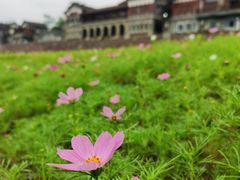 -木洞河街