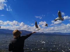 -湖景渔湾