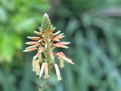 -北京植物园-展览温室