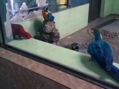 -石家庄市动物园