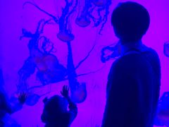 -瑞普利水族馆