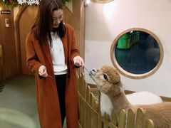 -藦茜花园宠物主题亲子互动体验馆(国顺东路店)