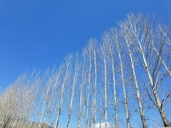 -清溪水库