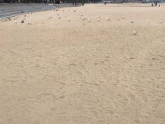 -海云台海滩