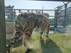 -西霞口神雕山野生动物世界