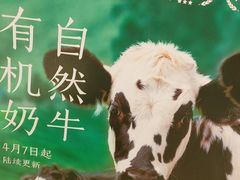 -LELECHA乐乐茶(新街口大洋店)