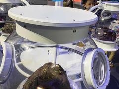 -侏罗纪世界电影特展(广州站)