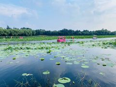 -沈阳市东陵公园