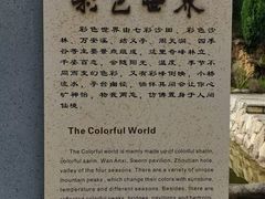 -彩色沙林风景区