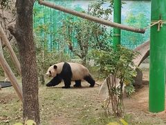 -灵玲国际马戏城