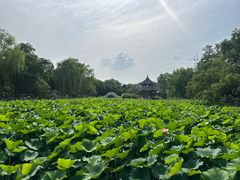 -莲池书院博物馆