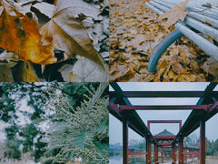 -观山湖公园
