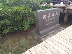 -东寨港红树林旅游区