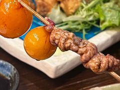 提灯-鸟亭·居酒屋(青年路店)