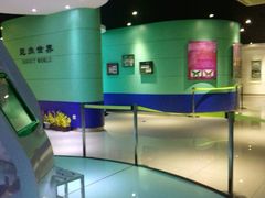 -上海昆虫博物馆