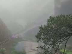 -文娟土菜馆(天柱山店)