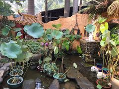 -园林美食城·本土农家菜(杨和镇店)