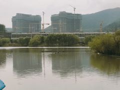 -长兴太湖图影湿地文化园