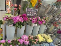 -盒马鲜生(领丰汇店)