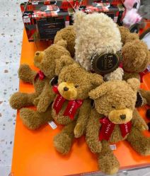 -kidsland(颐堤港店)