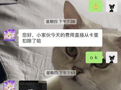 -艾贝尔宠物医院·24H转诊中心·肿瘤猫专科(江宁双龙店)